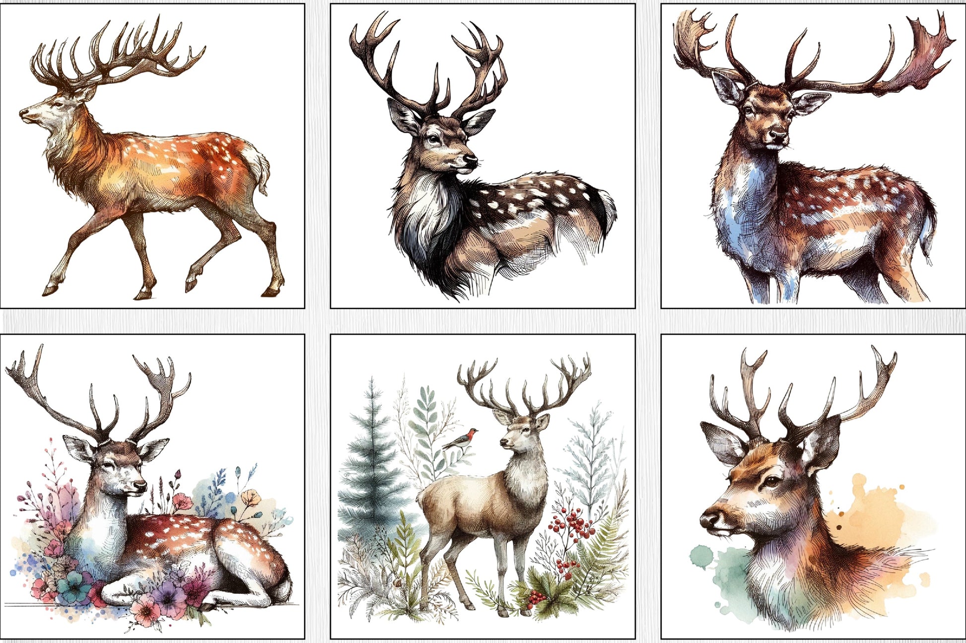 Deer Clipart Bundle - CraftNest - Digital Crafting and Art