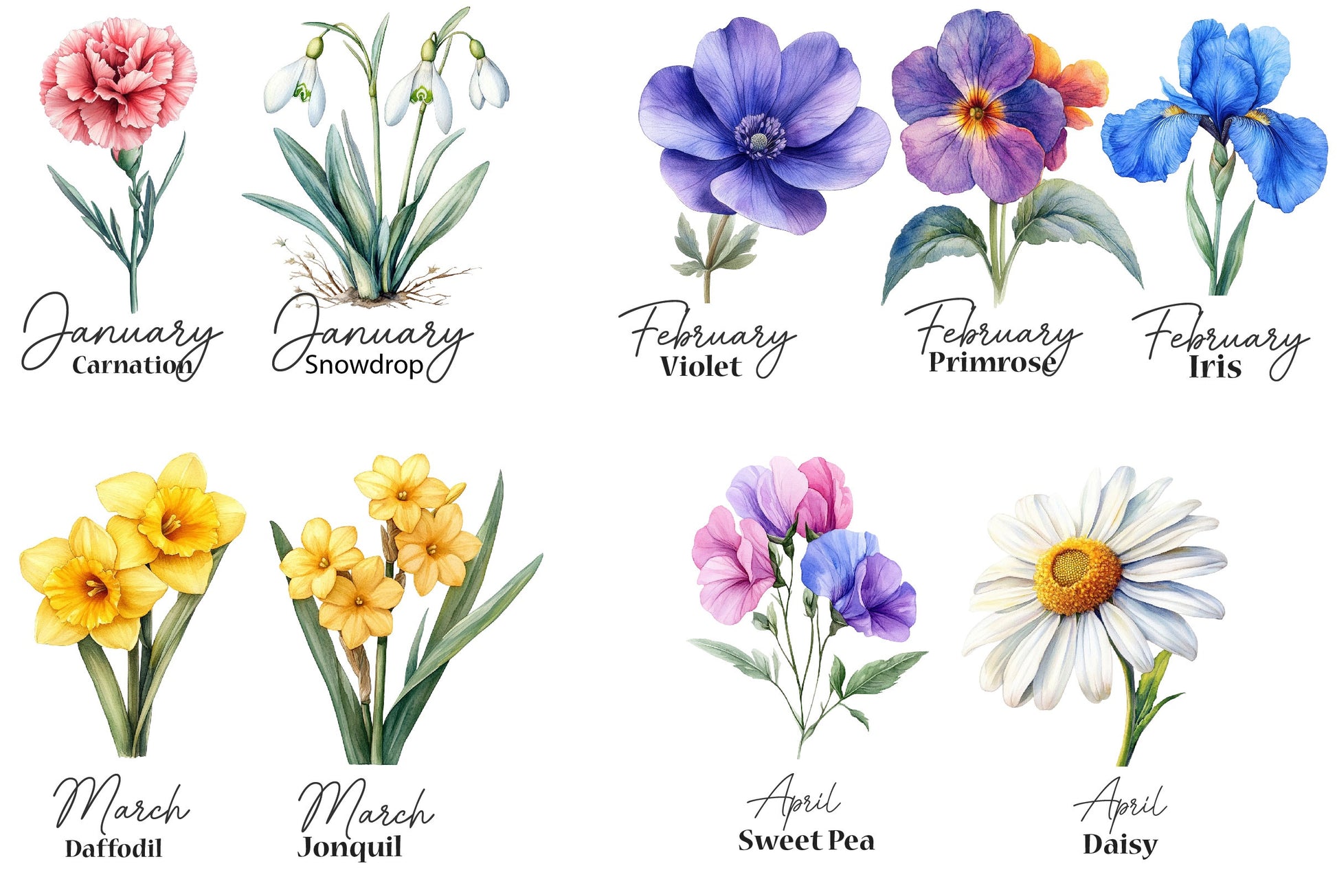26 Birth Month Flowers Clipart Bundle - CraftNest - Digital Crafting and Art
