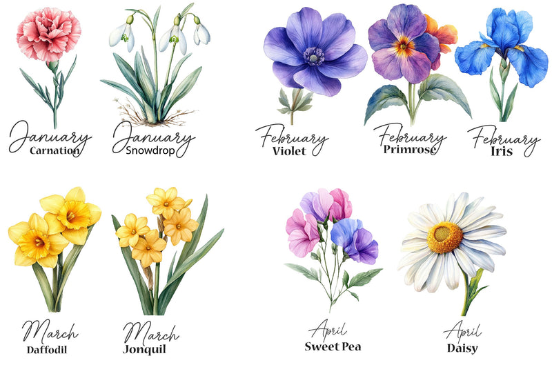 26 Birth Month Flowers Clipart Bundle - CraftNest - Digital Crafting and Art