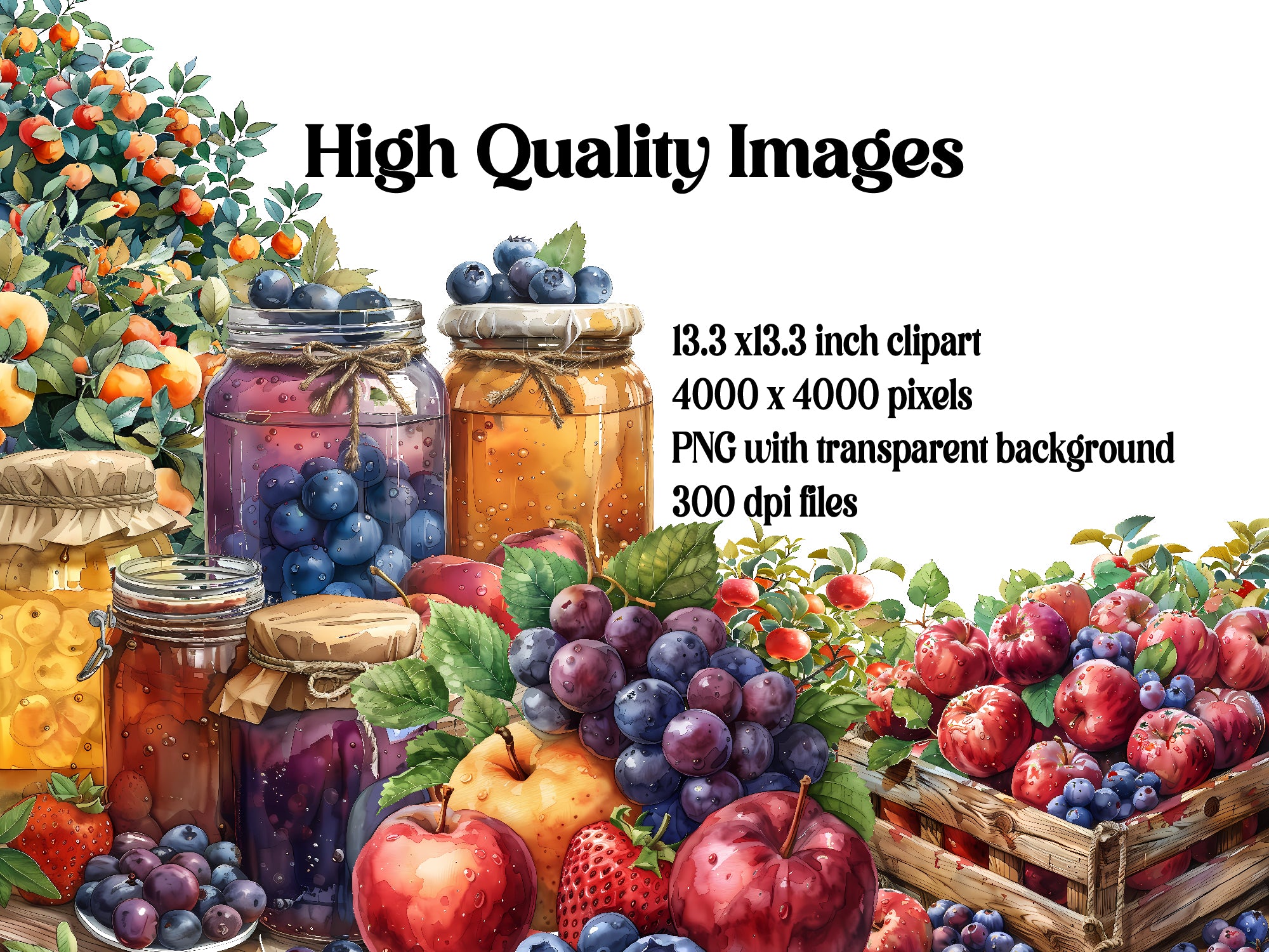 Orchard Harvest Clipart - CraftNest - Digital Crafting and Art