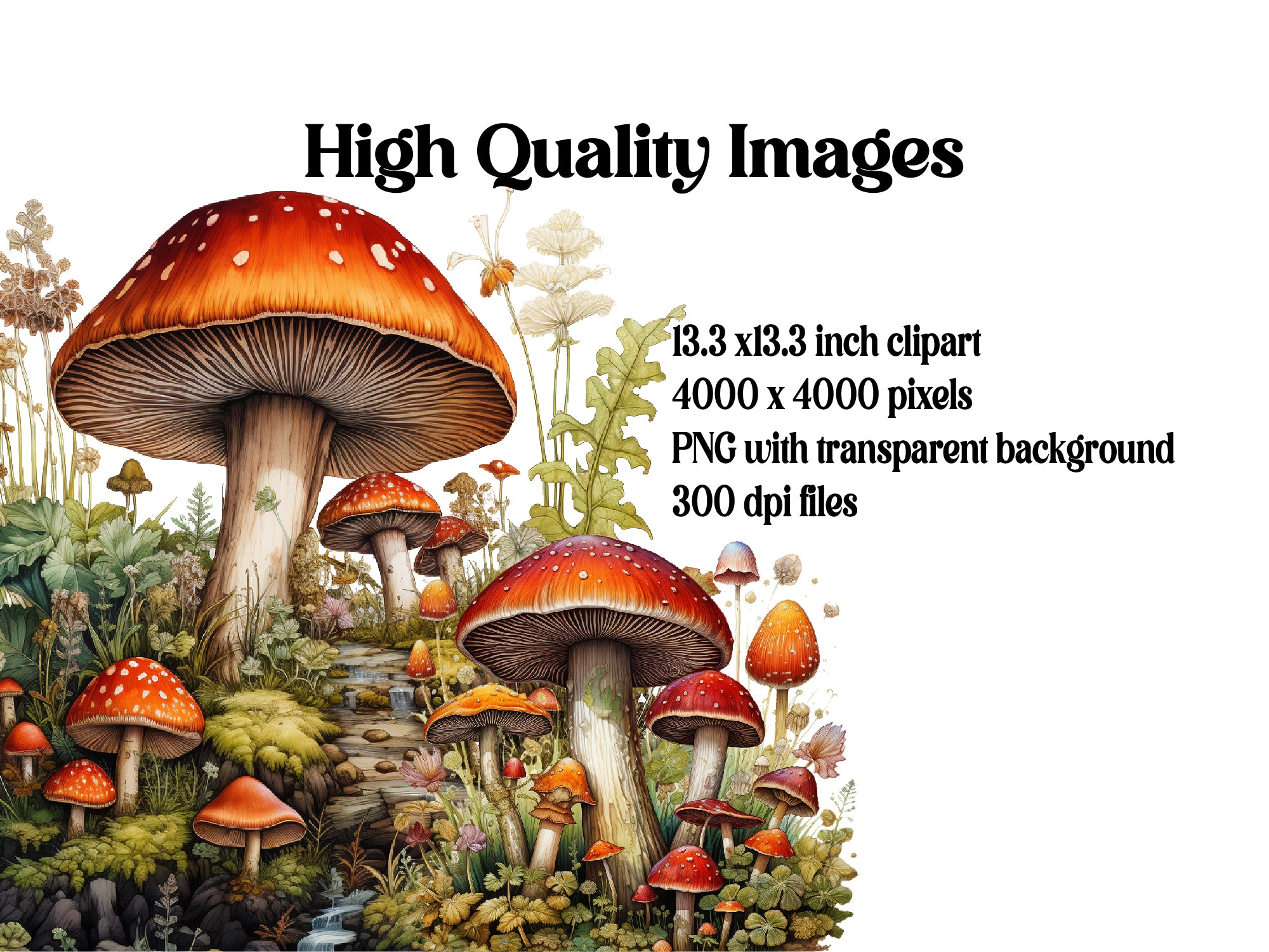 Mushroom And Fungus Clipart - CraftNest