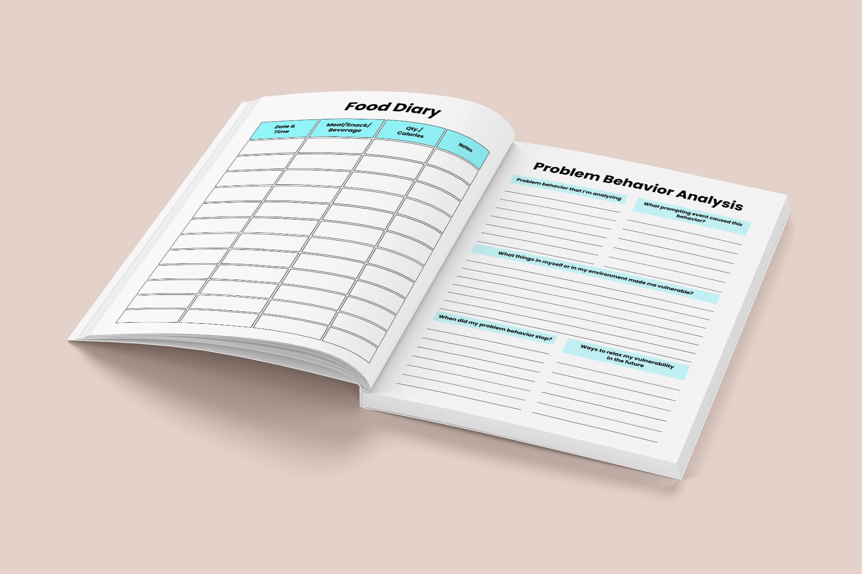 Mental Health Reflection Journal