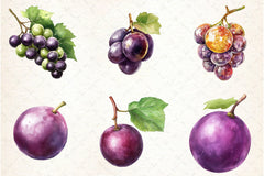 Grape Clipart Bundle - CraftNest - Digital Crafting and Art
