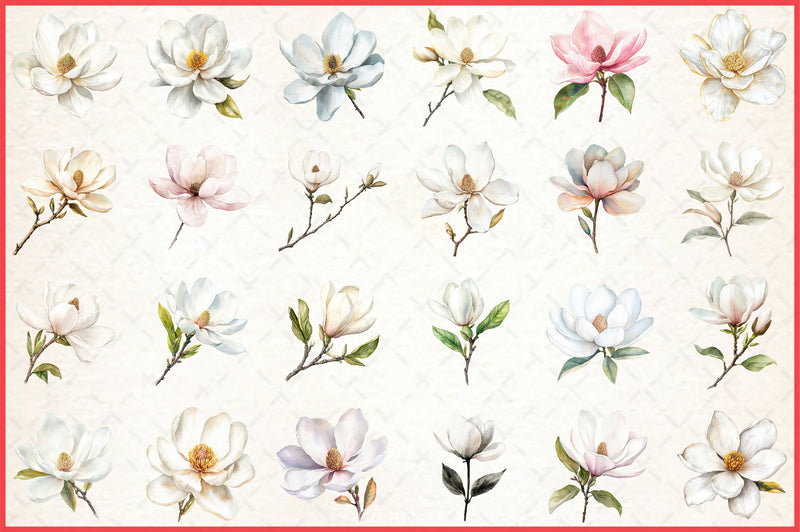 White Magnolia Clipart Bundle - CraftNest - Digital Crafting and Art