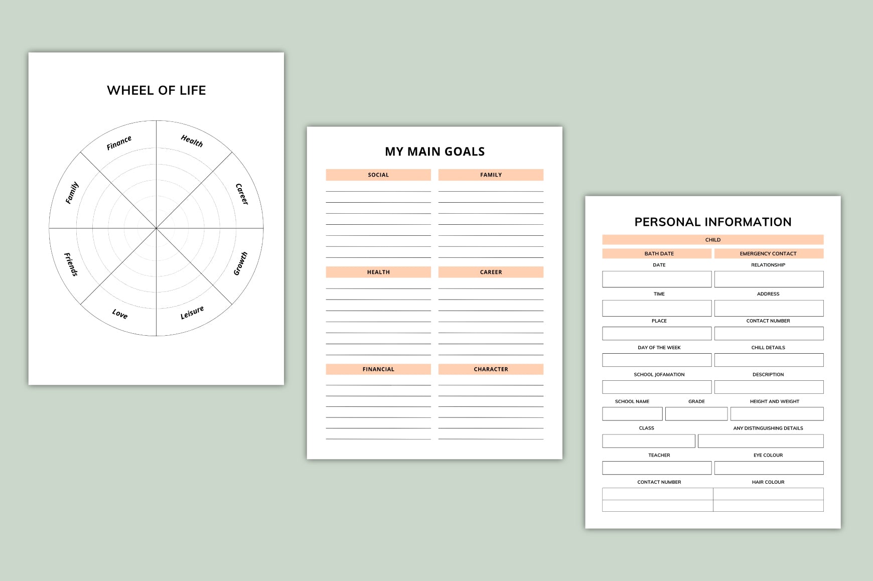 Final Wishes Planner