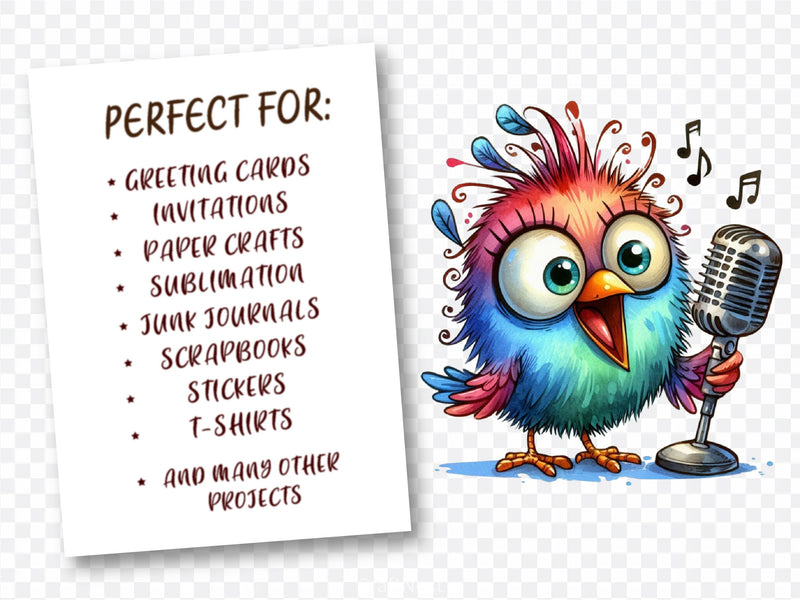 Funny Bird Clipart Bundle 9 - CraftNest - Digital Crafting and Art