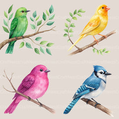 Birds Clipart Bundle 8 - CraftNest - Digital Crafting and Art