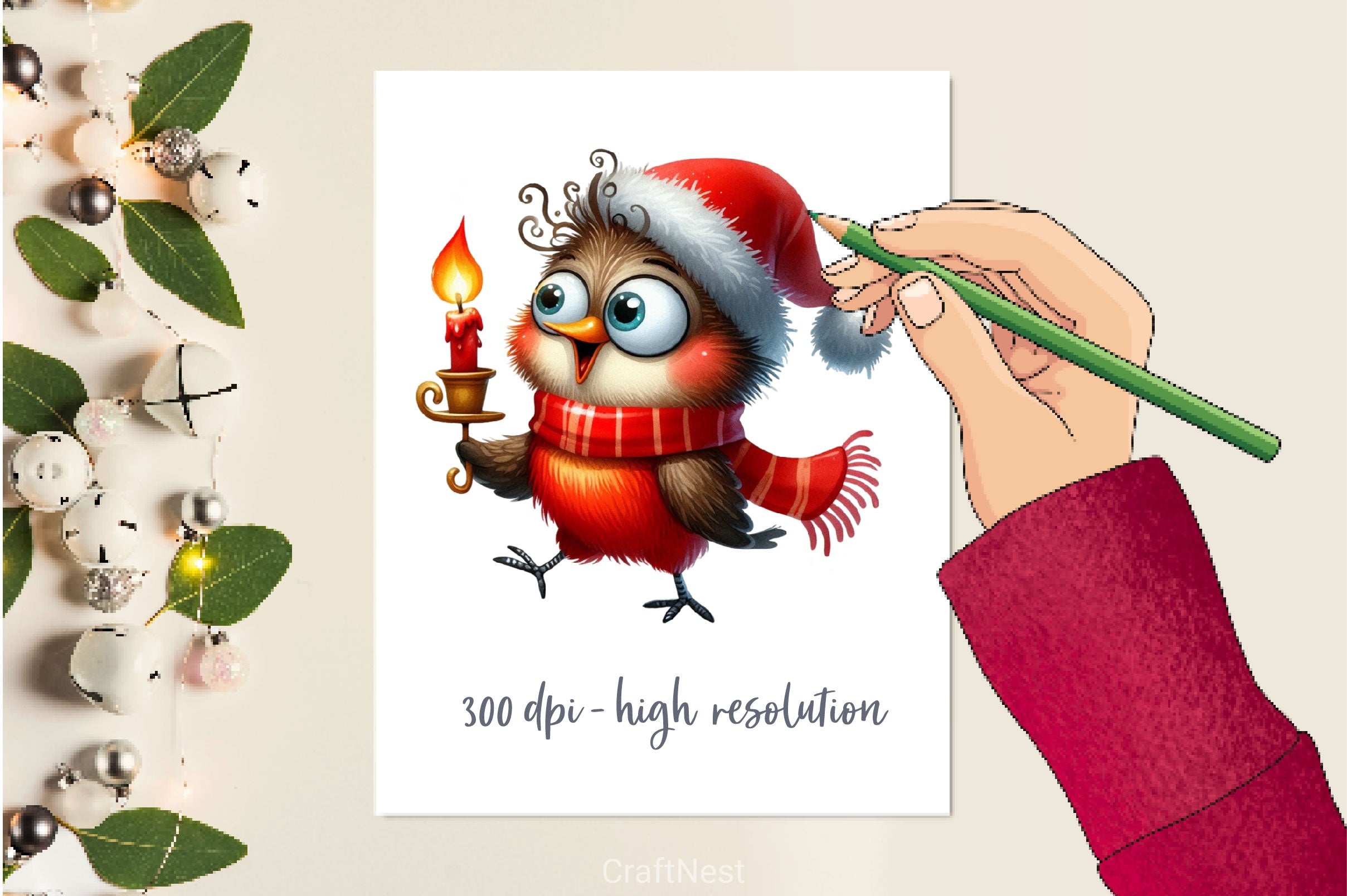 Christmas Birds Funny Birds Clipart Bundle - CraftNest - Digital Crafting and Art