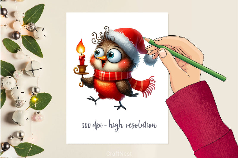 Christmas Birds Funny Birds Clipart Bundle - CraftNest - Digital Crafting and Art