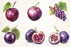 Grape Clipart Bundle - CraftNest - Digital Crafting and Art