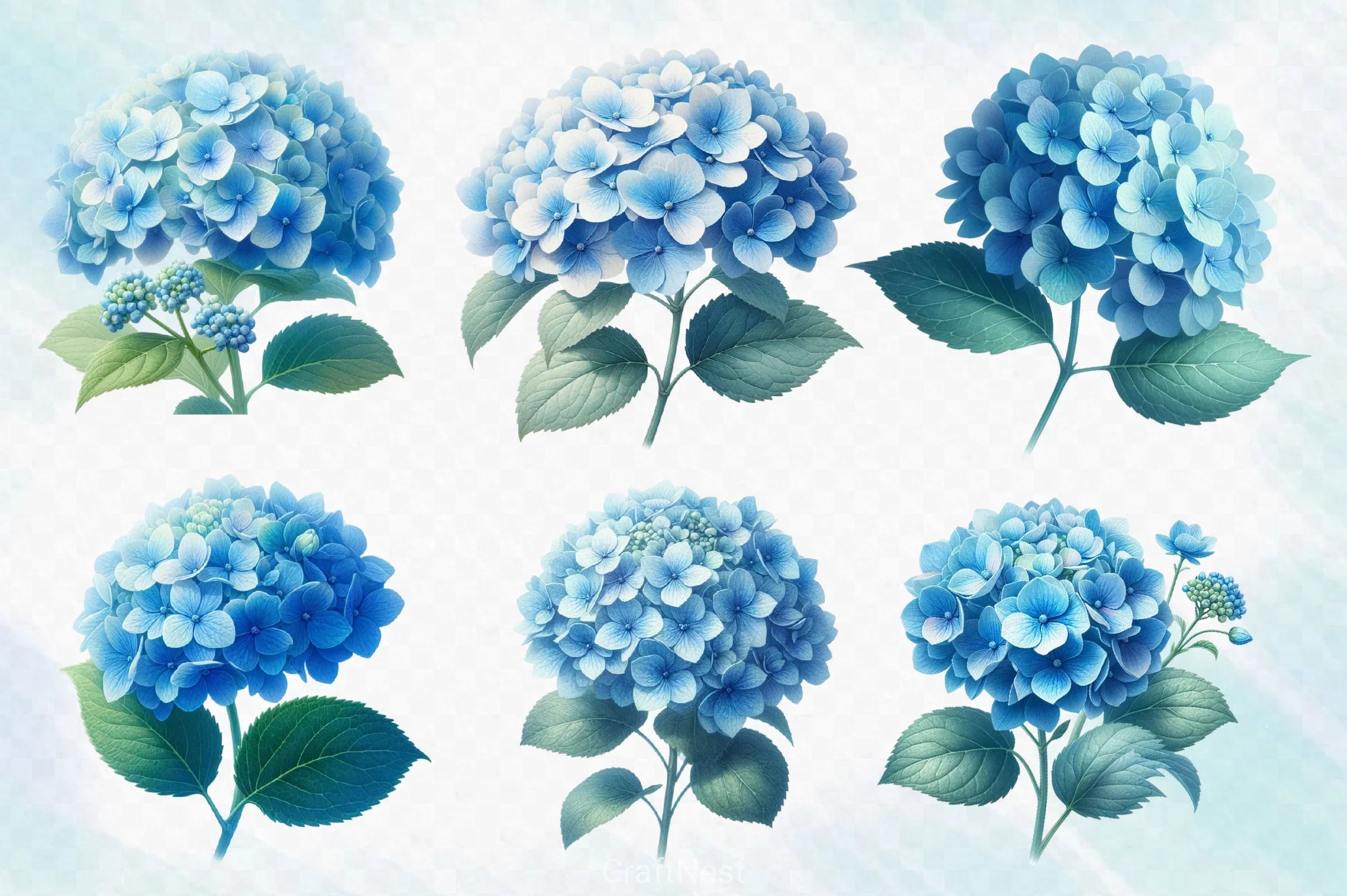 Hydrangea Flowers Clipart Bundle 2 - CraftNest - Digital Crafting and Art