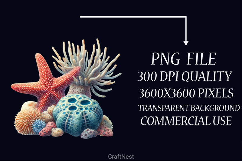 Shells & Corals Clipart Bundle - CraftNest - Digital Crafting and Art