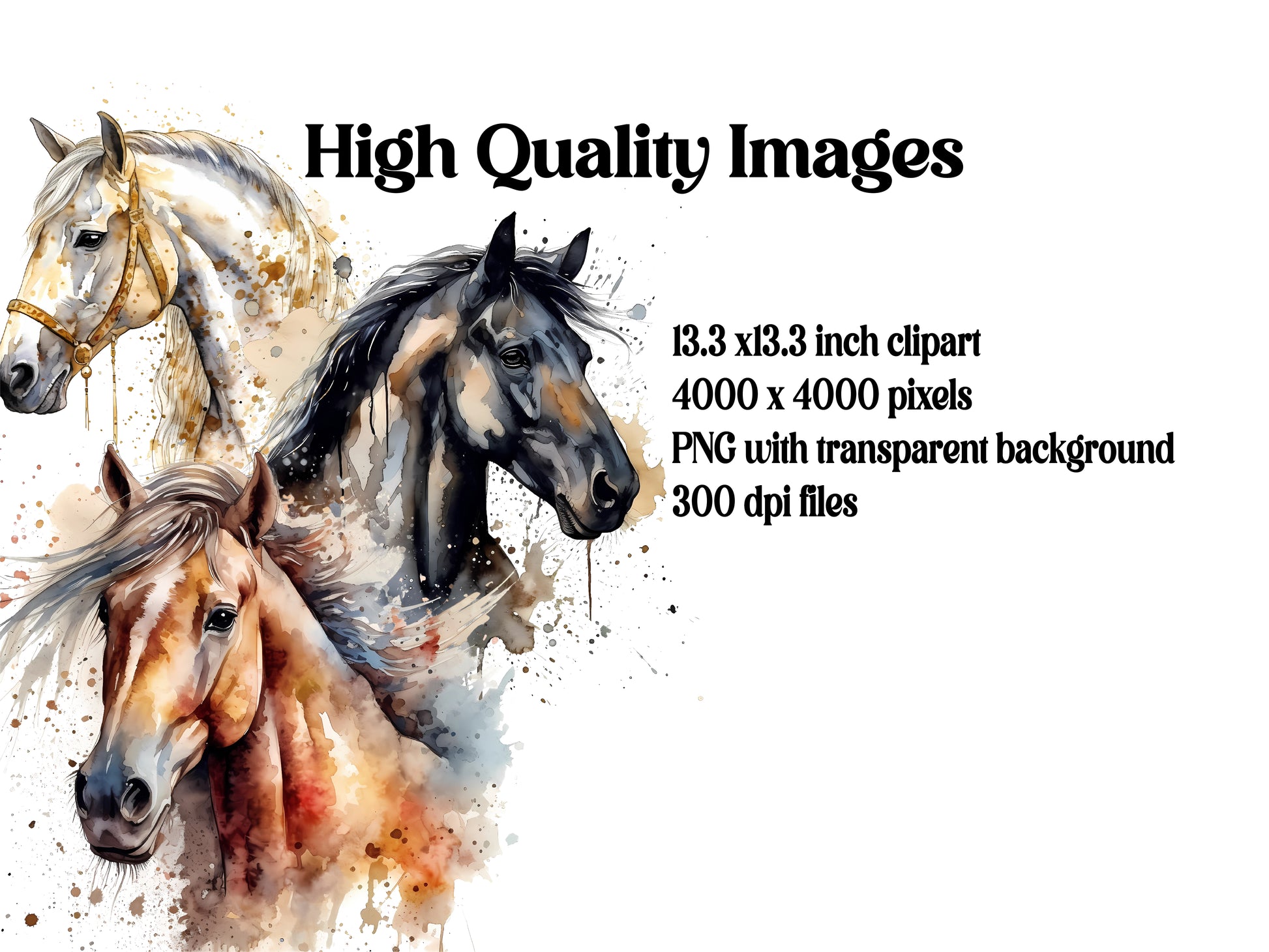 Horses Mega Bundle Clipart - CraftNest