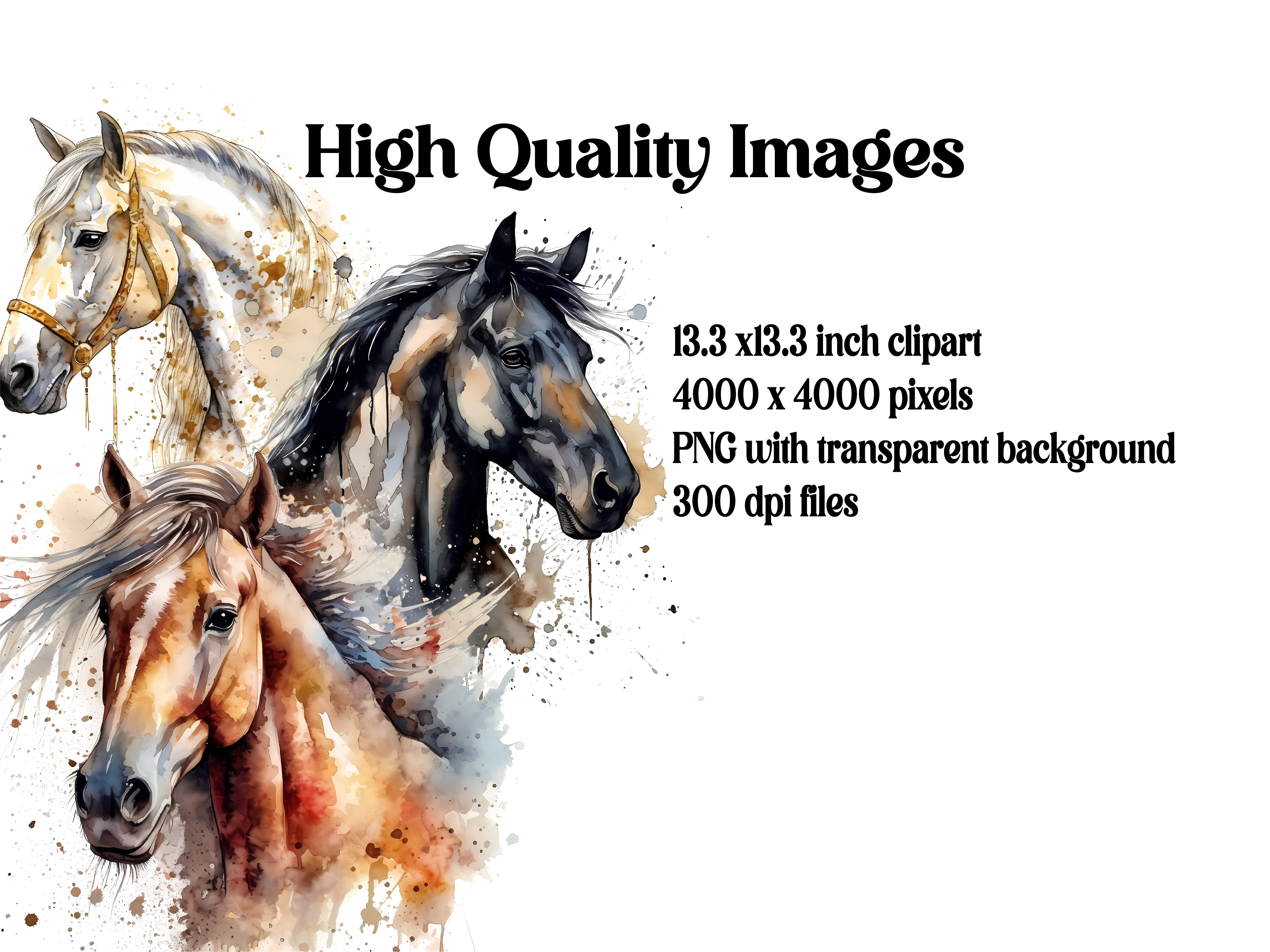 Horses Mega Bundle Clipart - CraftNest