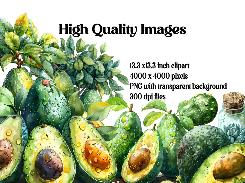 Avocado Clipart - CraftNest - Digital Crafting and Art