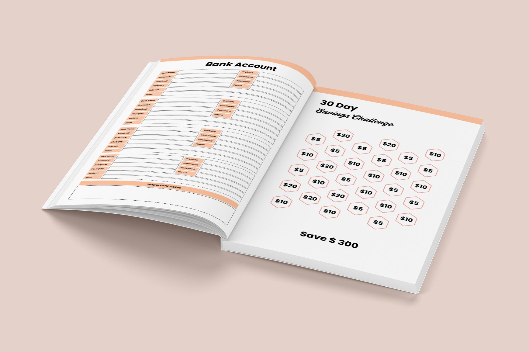 Money Saving Goals Challenge Planner