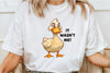Funny Duck Clipart Bundle 9