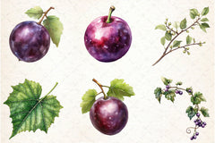 Grape Clipart Bundle - CraftNest - Digital Crafting and Art