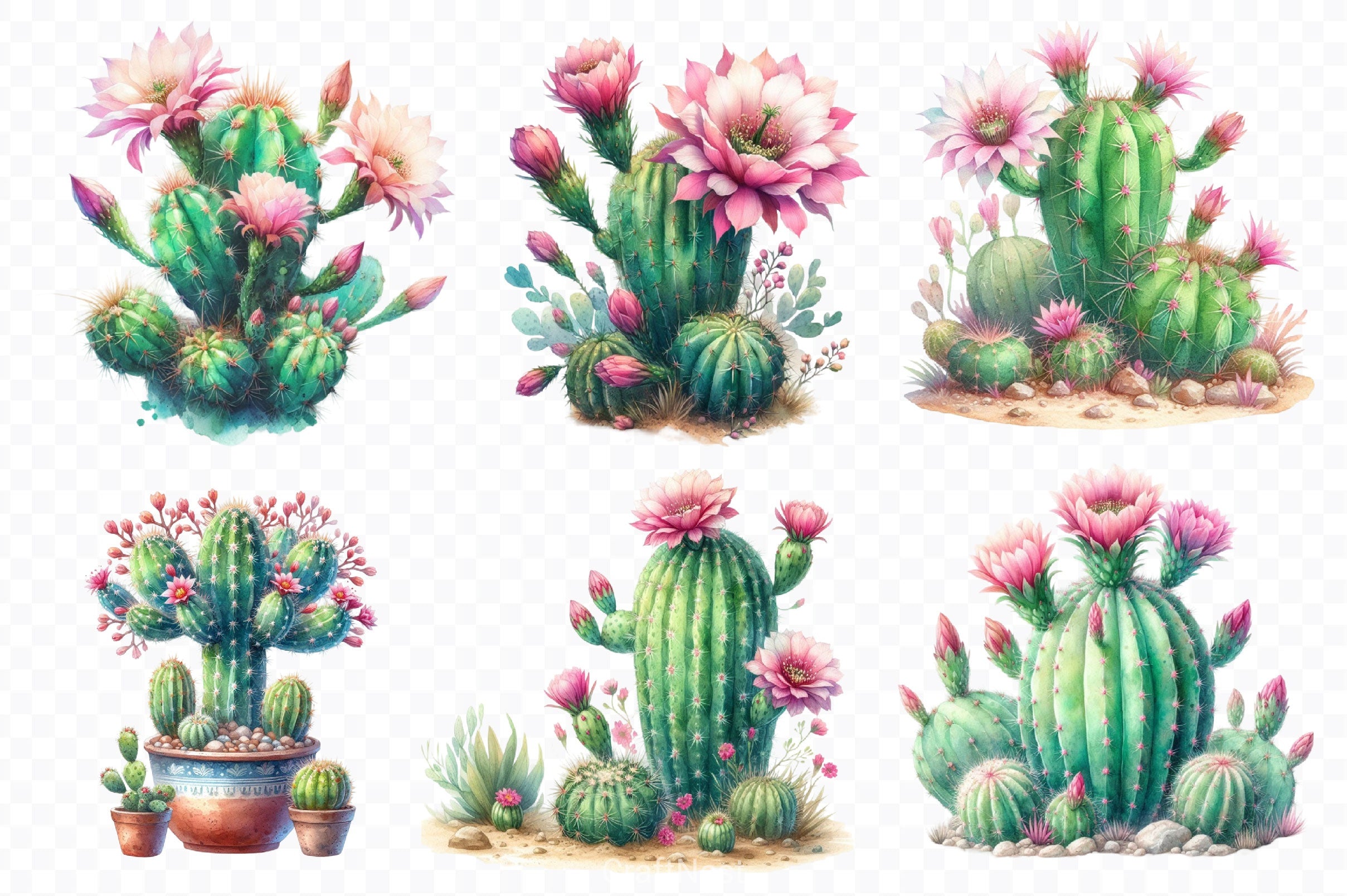 Cactus Clipart Bundle 2 - CraftNest - Digital Crafting and Art