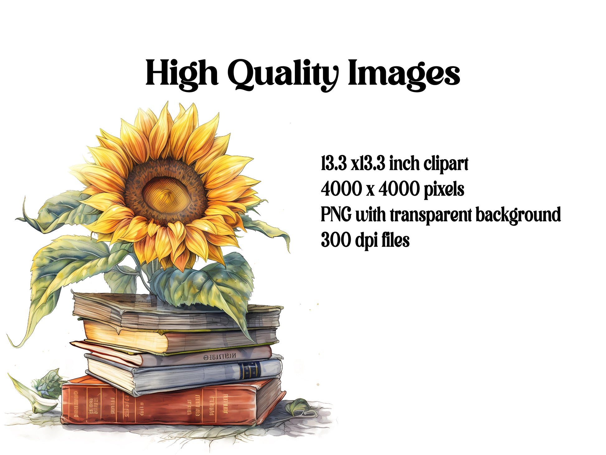 Sunflower Books Clipart - CraftNest