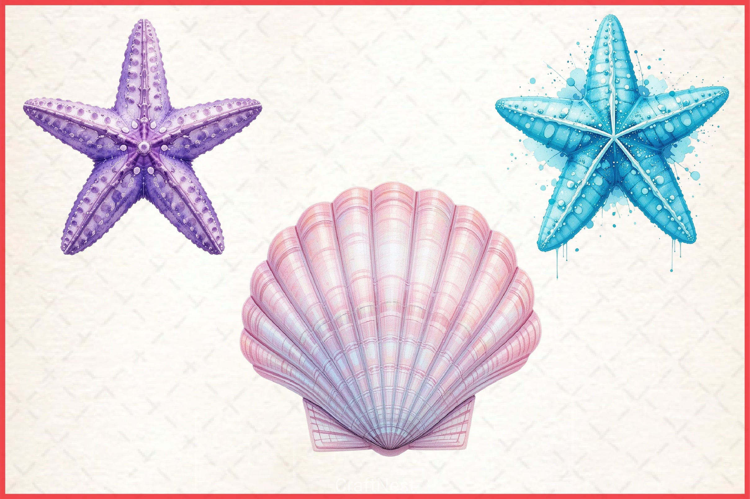 Summer Seashell Clipart Bundle 3 - CraftNest - Digital Crafting and Art