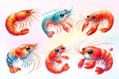 Cute Shrimp Clipart Bundle 2 - CraftNest - Digital Crafting and Art