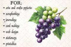 Grape Clipart Bundle - CraftNest - Digital Crafting and Art