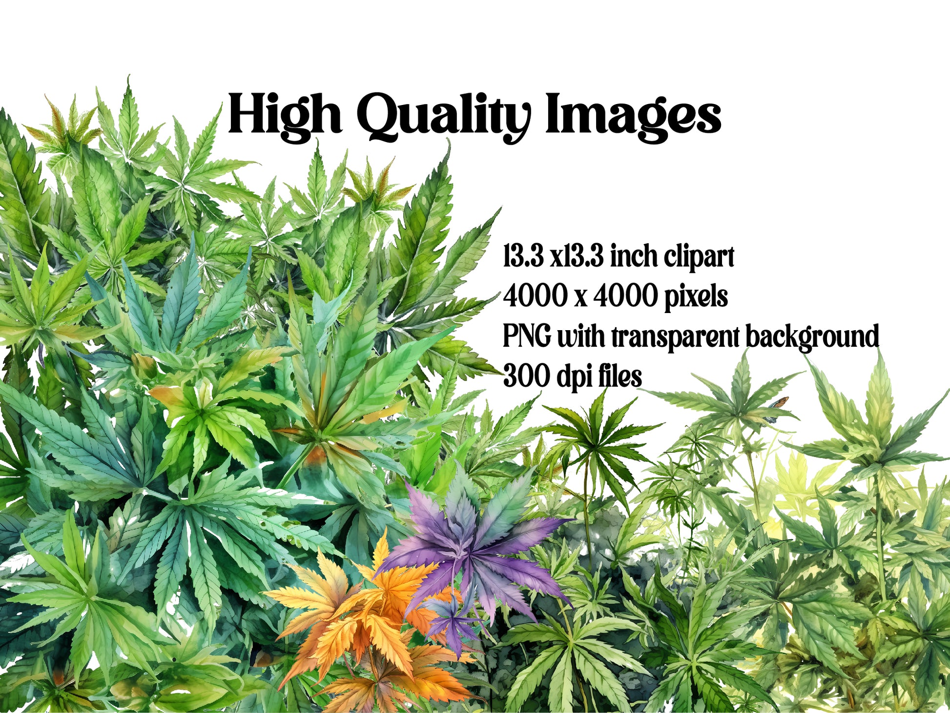 Cannabis Leaves Clipart - CraftNest