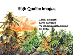 Cannabis Plants Clipart - CraftNest