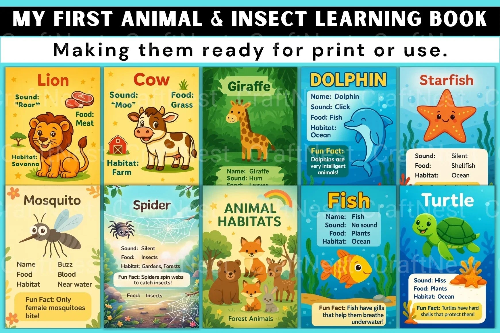 My First Insect Learning Book for Kids - CraftNest - Digital Crafting and Art