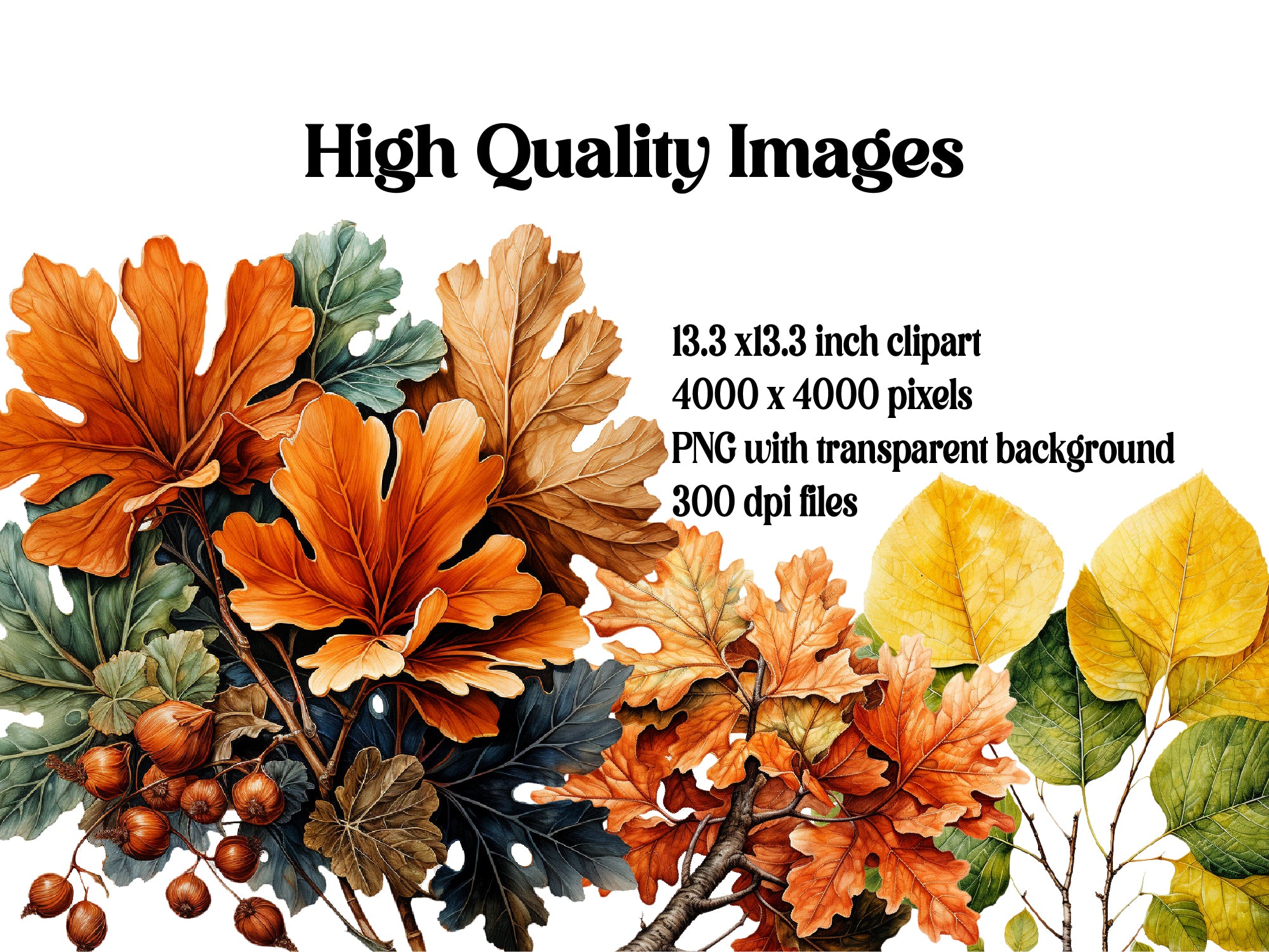 Autumn Leaves Collection Clipart - CraftNest