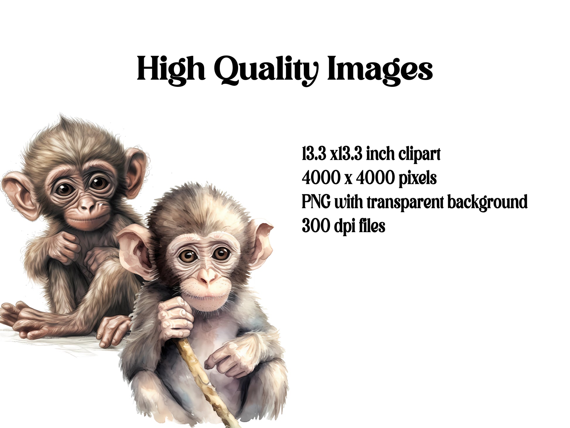 Baby Monkey Clipart - CraftNest