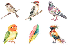 Summer Bird Clipart Bundle - CraftNest - Digital Crafting and Art