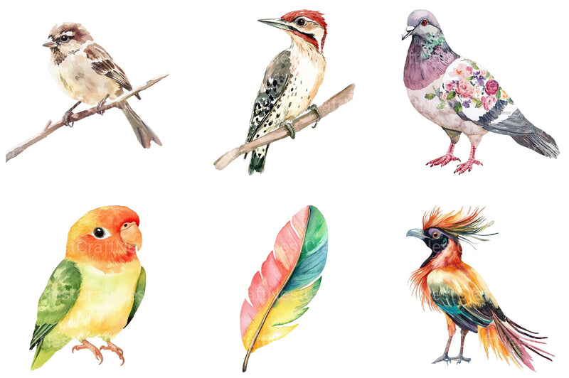 Summer Bird Clipart Bundle - CraftNest - Digital Crafting and Art