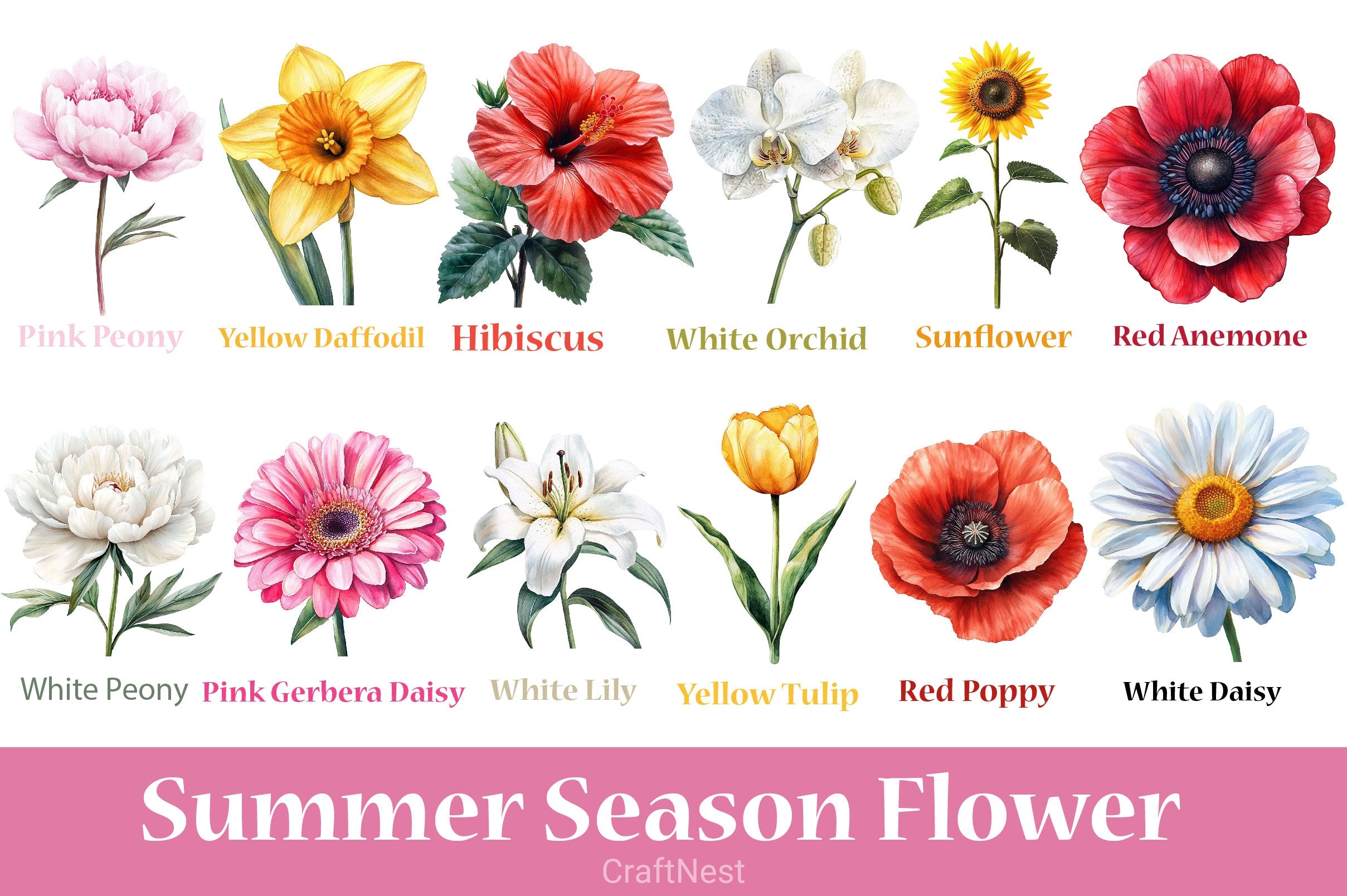 Summer Season Flower Clipart Bundle - CraftNest - Digital Crafting and Art