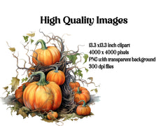 Pumpkin Clipart - CraftNest