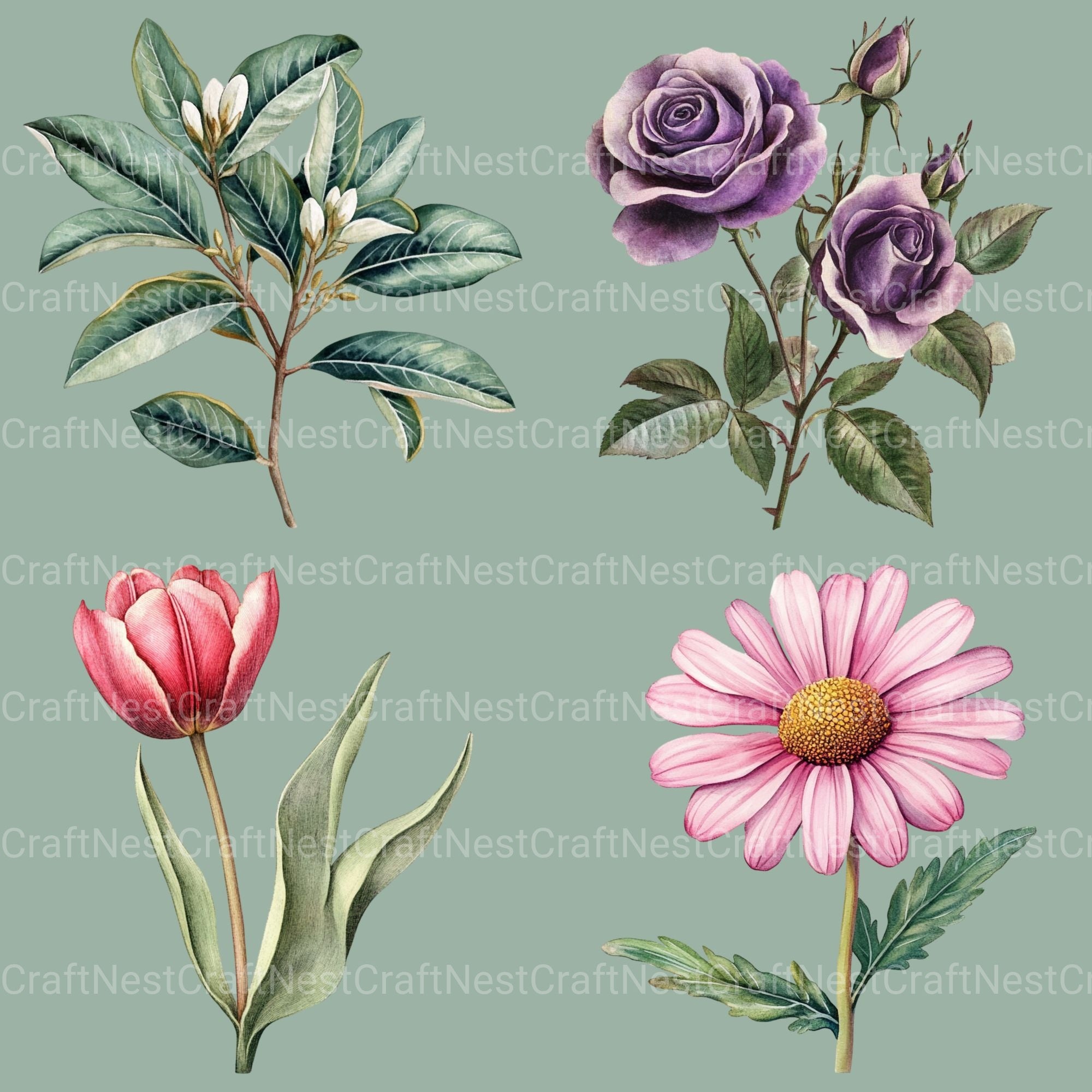 Vintage Botanical Clipart Bundle - CraftNest - Digital Crafting and Art