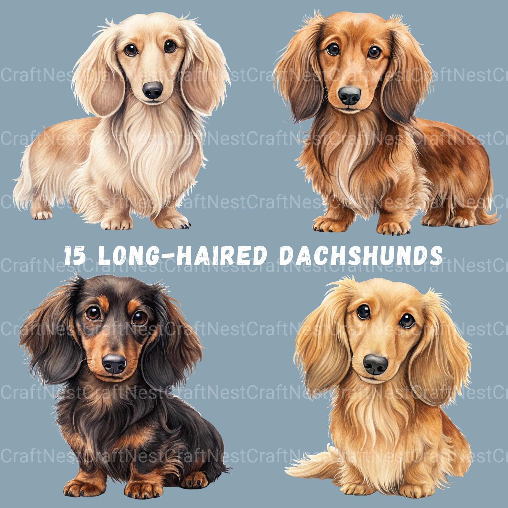 Dachshund Long Hair Clipart Bundle - CraftNest - Digital Crafting and Art