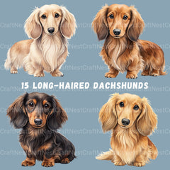 Dachshund Long Hair Clipart Bundle - CraftNest - Digital Crafting and Art