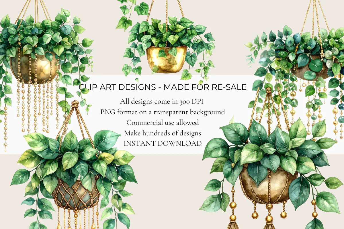 Hanging Plants Clipart - CraftNest - Digital Crafting and Art