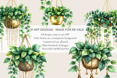 Hanging Plants Clipart - CraftNest - Digital Crafting and Art