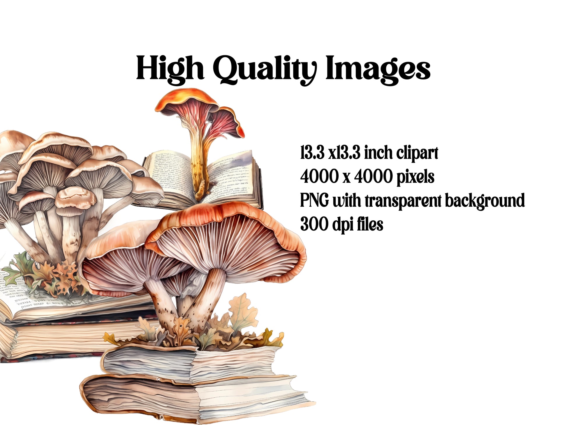 Mushroom Books Clipart - CraftNest