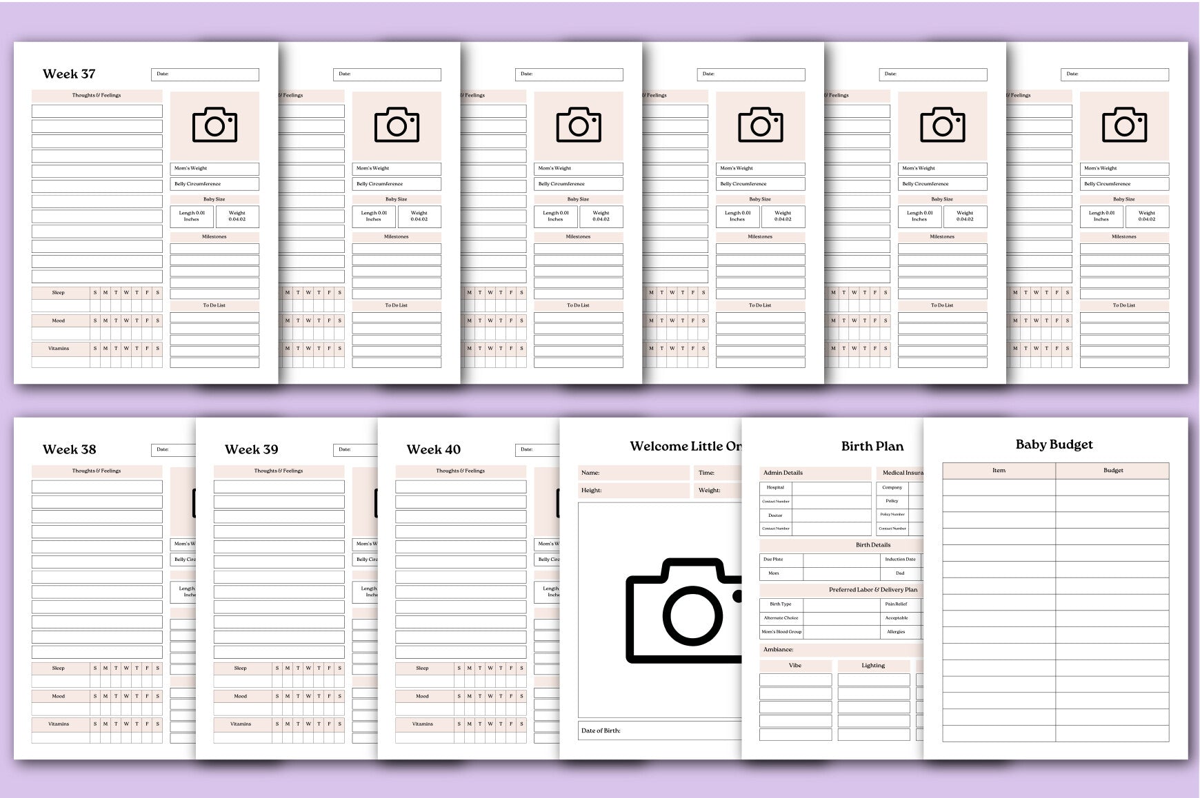Pregnancy Journal: A Keepsake for Expecting Mothers