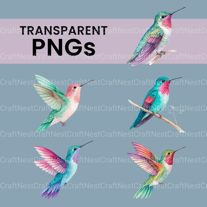 Hummingbirds Clipart Bundle - CraftNest - Digital Crafting and Art