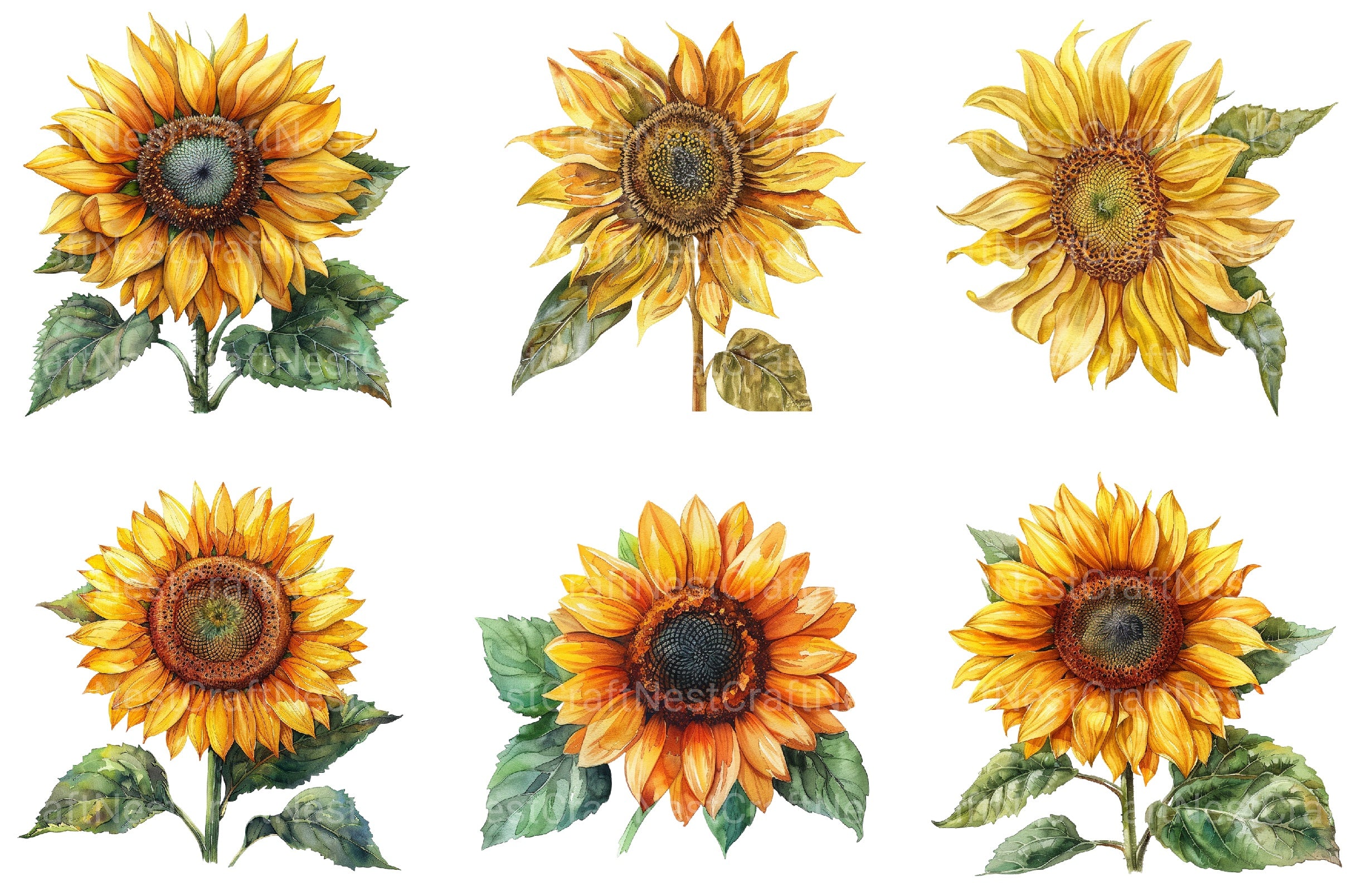 Summer Sunflower Clipart Bundle 1 - CraftNest - Digital Crafting and Art
