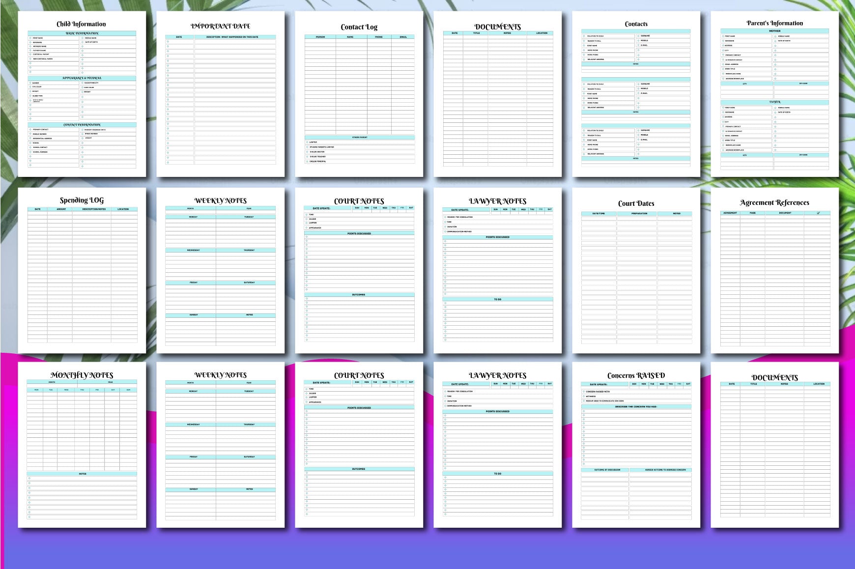 Child Custody Binder Guide