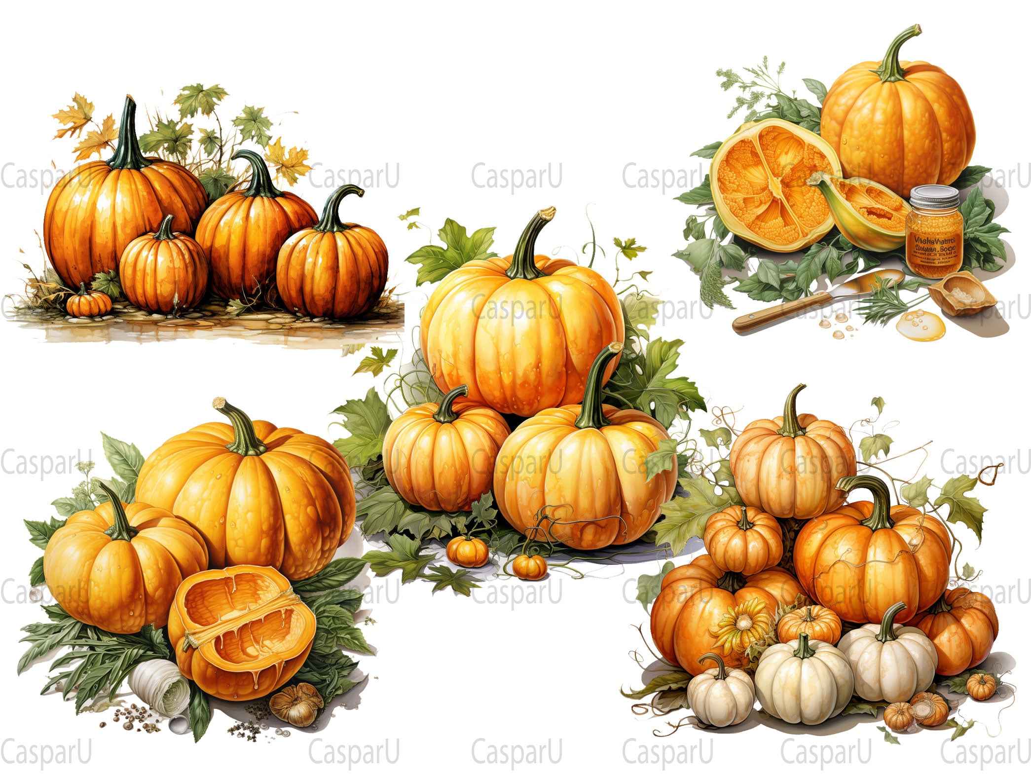 Pumpkin Varieties Clipart - CraftNest