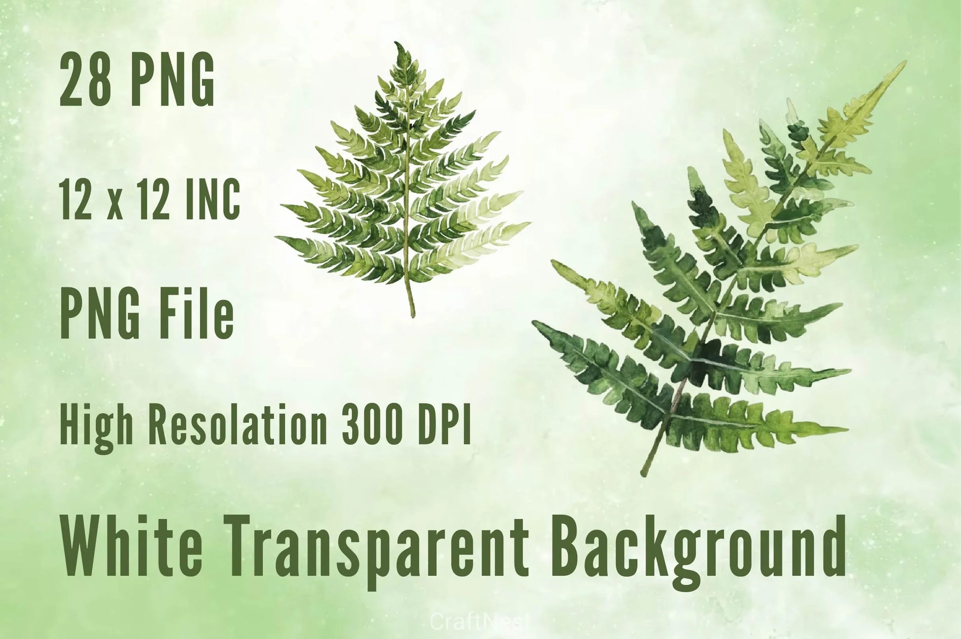 Fern Green Leaves Clipart Bundle - CraftNest - Digital Crafting and Art