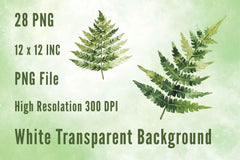 Fern Green Leaves Clipart Bundle - CraftNest - Digital Crafting and Art