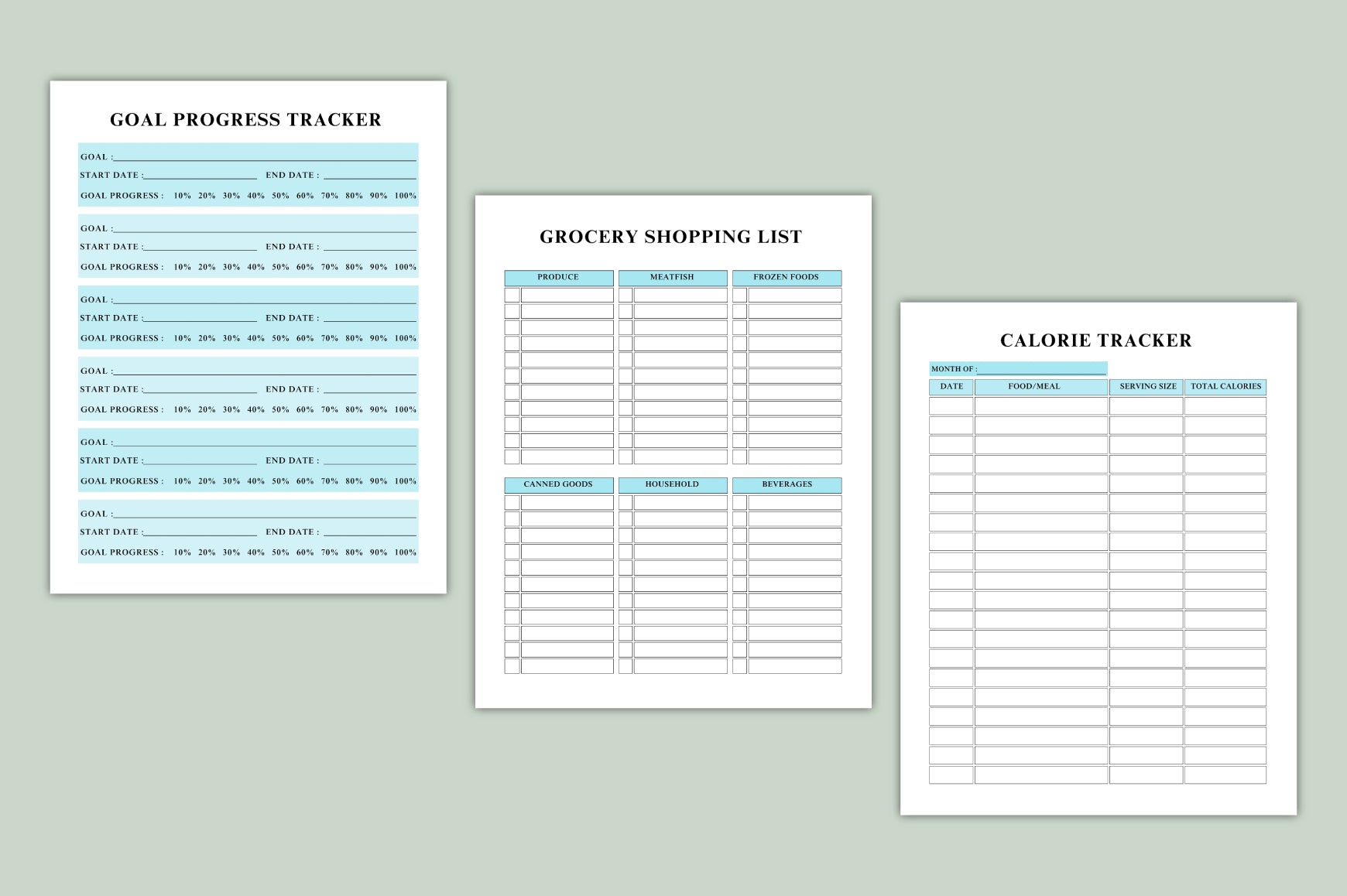Efficiency Success Planner